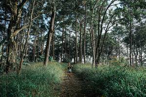 BIB: 
                            <button type="button" onclick="openModal(25656991)" class="btn btn-primary btn-sm float-right btn-popup" data-toggle="modal" data-target=".modal-high-quality">
                        <i class="fas fa-shopping-cart"></i> Add to Cart
                    </button>
                                            <button type="button" onclick="isThisMe(25656991, true)" class="btn btn-success btn-sm float-right btn-popup btn-isme hidden" data-toggle="tooltip" data-placement="bottom" title="นี่คือรูปของคุณใช่ไหม คลิกที่นี่เพื่อเอาเข้าอัลบั้ม">
                        <i class="fas fa-plus"></i> Add to album
                    </button>
                    <button type="button" onclick="isThisMe(25656991, false)" class="btn btn-warning btn-sm float-right btn-popup btn-isnotme hidden">
                        <i class="fas fa-ban"></i> Remove from album
                    </button>